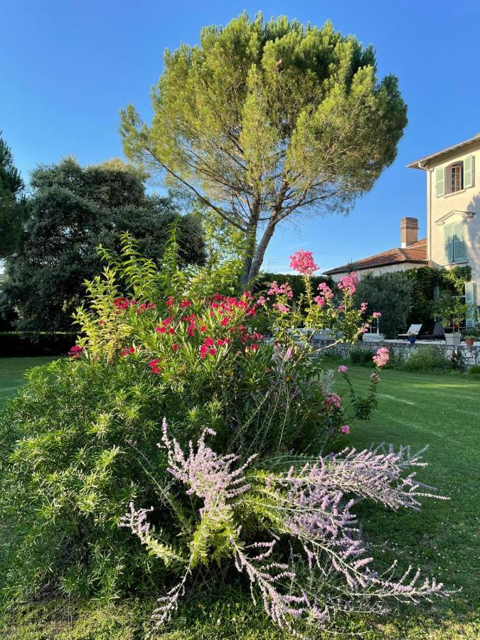 Maison D'Hotes Le Parc Labruguiere ภายนอก รูปภาพ