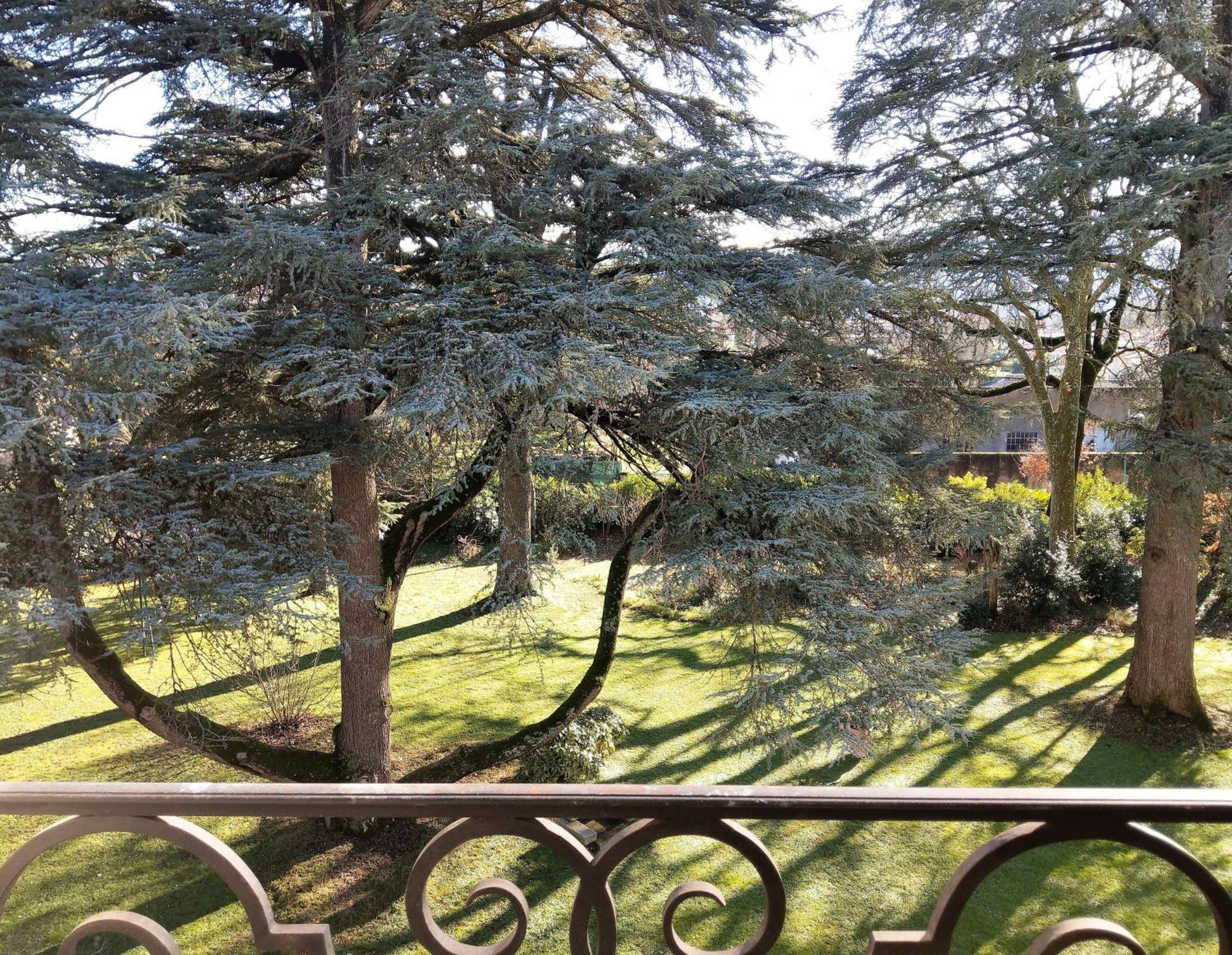 Maison D'Hotes Le Parc Labruguiere ห้อง รูปภาพ